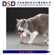 <b>猫玩具塑料发迪拜海运哪种操</b>